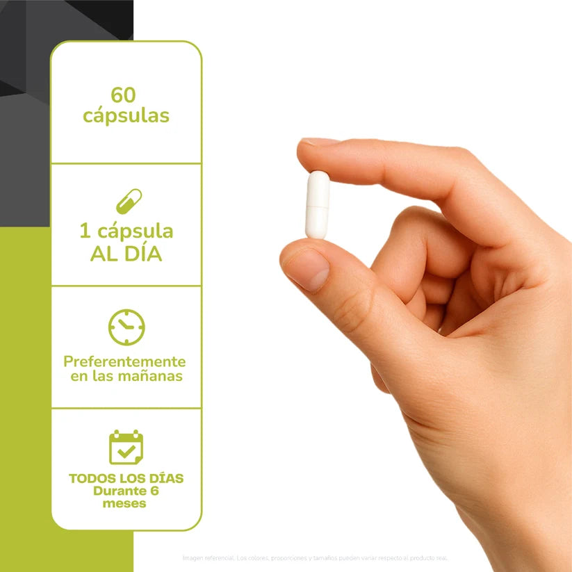 Arginina 600 mg 60caps
