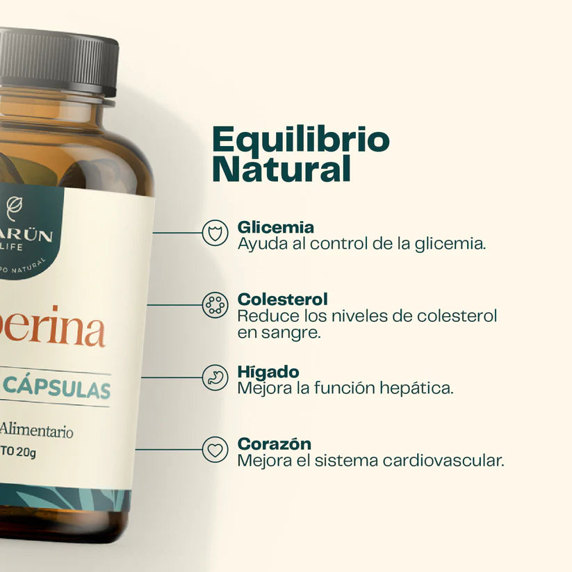Berberina 500mg 60caps