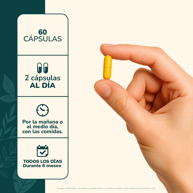 Berberina 500mg 60caps