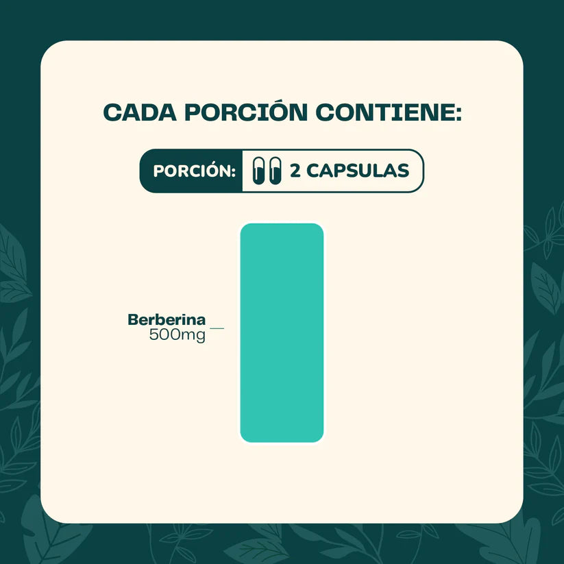 Berberina 500mg 60caps