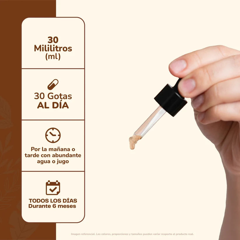 Ashwagandha + Melena León Extracto 30ml