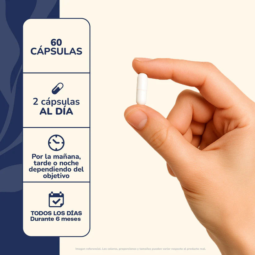 Triple Magnesio 60caps Bisglicinato+Citrato+Taurato